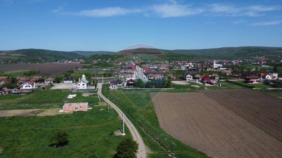 Teren de vanzare 8.700 mp în Livada comuna Iclod - 9