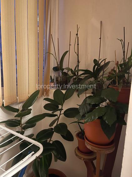 Lacul Tei | 4 Camere | Decomandat | Balcon | Bl. Anvelopat  - 2