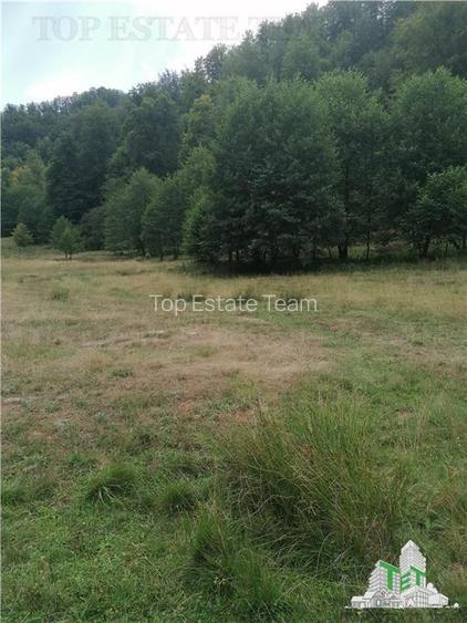 Teren intravilan - Berevoiesti - Arges - 5