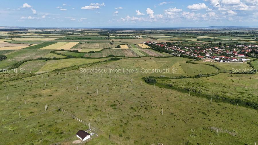 Terenuri zona  MOSNITA NOUA -  ALBINA . - 21