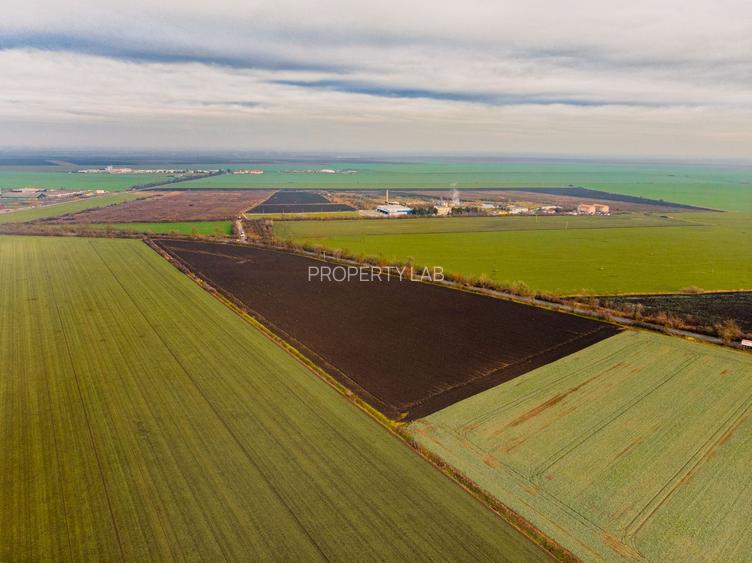 Teren la sosea cu 420 m front stradal - 5