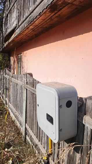 Casă central în Vadu Pașii, deschidere la 2 străzi, garaj, anexe, grădină - 9