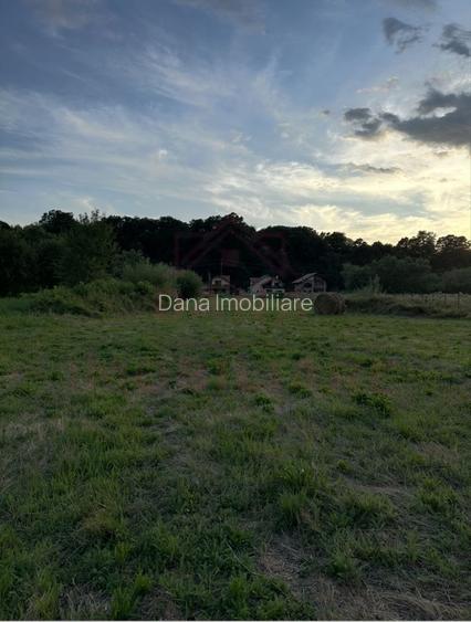 TEREN INTRAVILAN\699 mp, 45€ mp\ CARANSEBEȘ\ ZONA TEIUȘ - 7