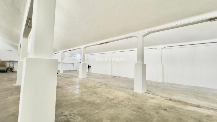 Pantelimon / Republica - Spațiu Industrial / Producție / Depozitare - 14