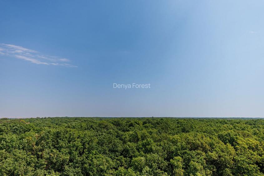 O locuință luminoasă într-un cadru verde și modern - Comision 0% - 16