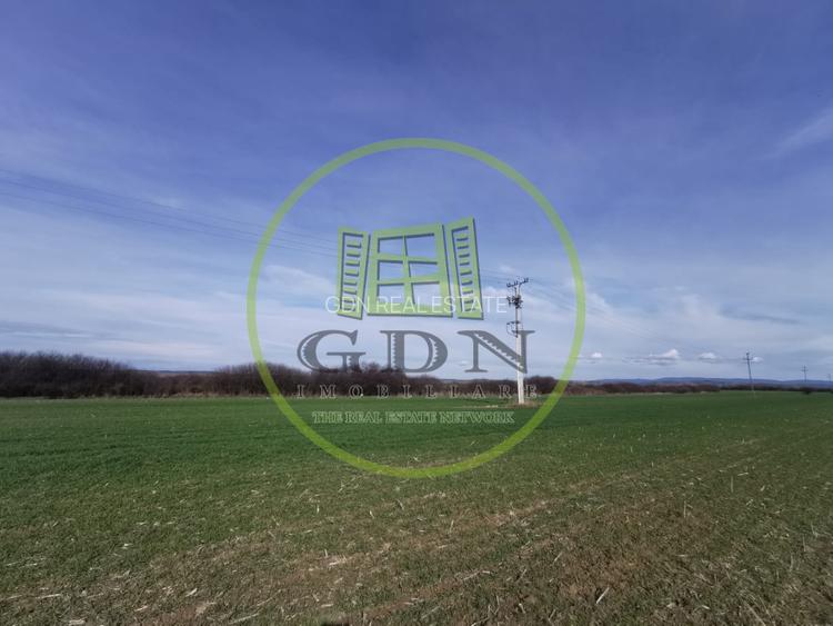 Teren extravilan de vanzare in Sacadat, 21.496 mp, cu deschidere de 42 m la E60. - 3