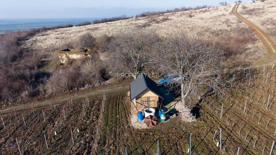 Vita-de-vie Premium  teren de 6800 mp în Covăsinț - 10