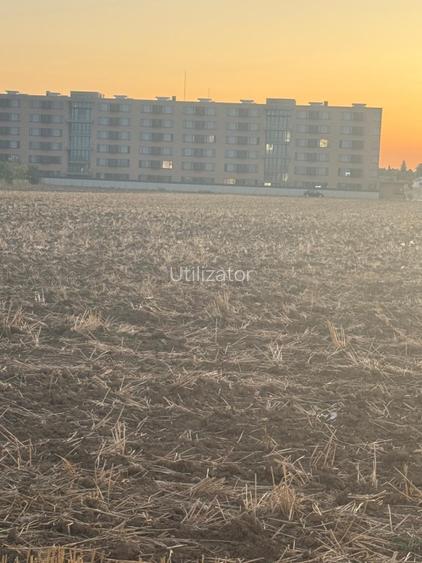 Teren de vânzare Branesti - 3