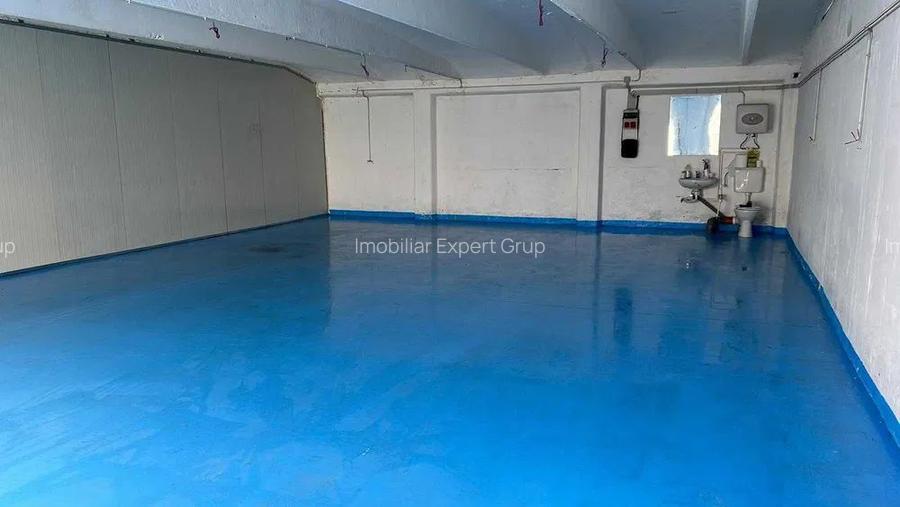 Hale oportunitate randament maxim Pantelimon - 3