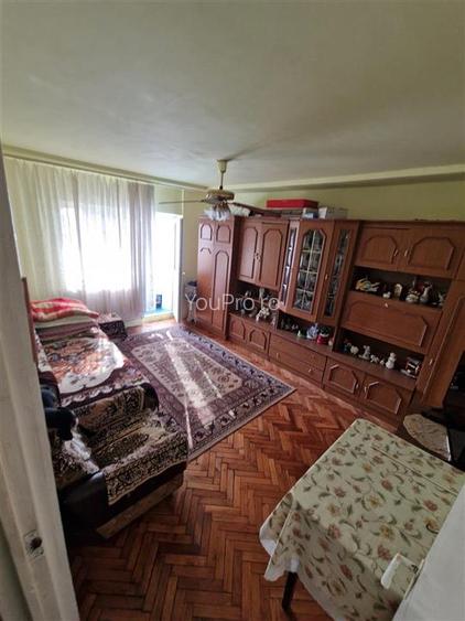 Apartament spatios cu 1 camera zona Blascovici - 13