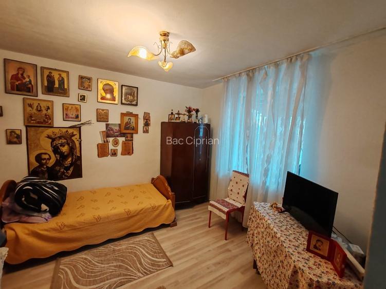 Casa si teren de vanzare ultracentral Iasi - 11