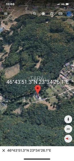 Casa deosebita, 4 camere, zona Faget - 6