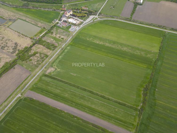 Teren extravilan de 22500mp Zona Ineu - 10