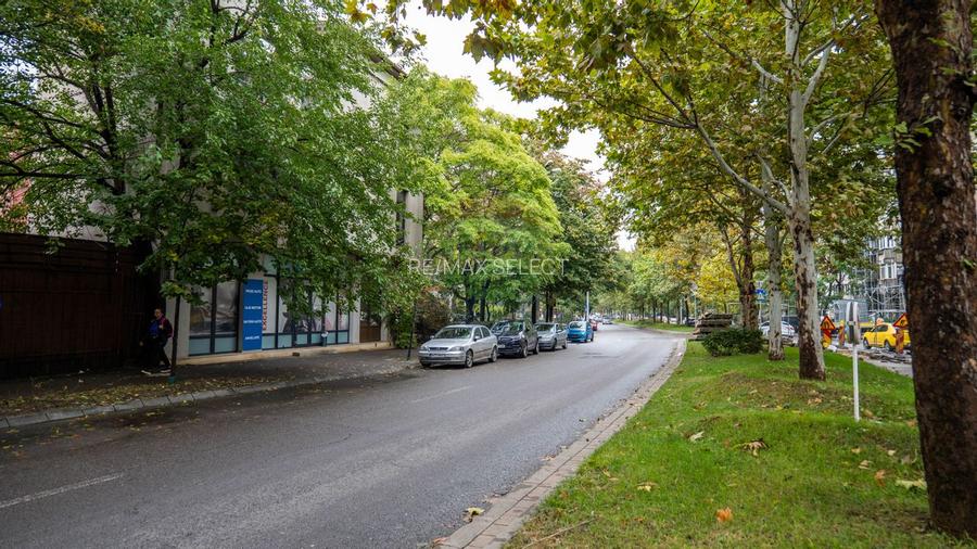 INVESTITIE - Vanzare vilă spatioasa cu S+P+2E+M, zona Doamna Ghica - 3