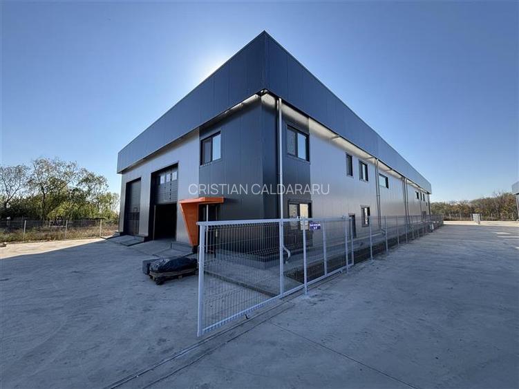 Vanzare depozit/hala/spatiu industrial Chitila - Centura - Rudeni - 8