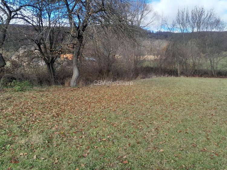 Teren Intravilan Ideal Pt Casa de Vacanta ,Valea Dobarlaului - 3