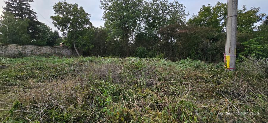 Teren cu suprafata de 1500mp mai sus de Casa Lux - 3