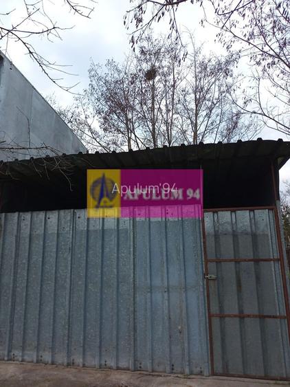 GIURGIU - COM. BUCSANI (SAT OBEDENI) CASA 2 CAM DE VANZARE - 29