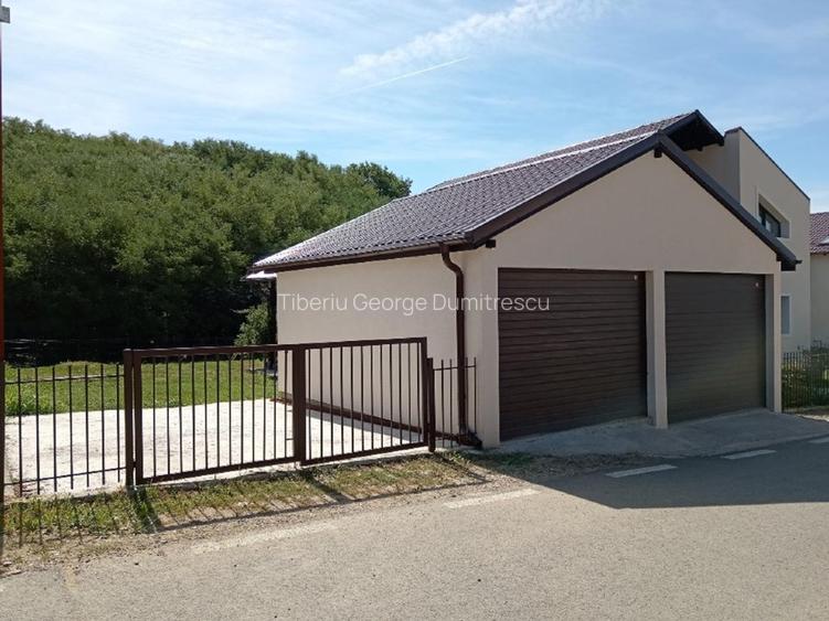 Casa Cartier Dealul cu Tei - 15