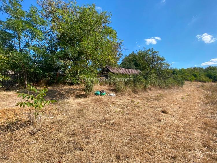 Vând teren intravilan comuna Parincea Jud Bacau - 4