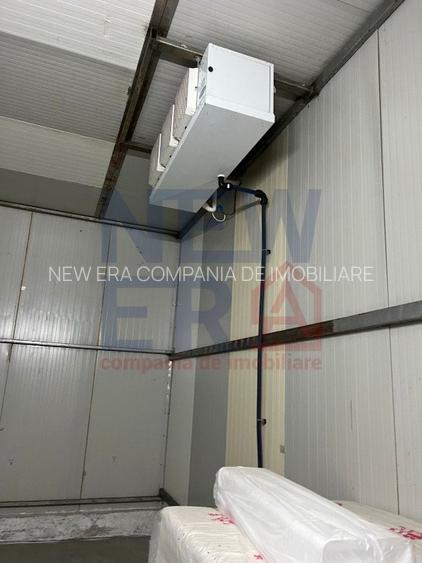 DE VANZARE Platforma cu  2 hale de 2074 mp amplasate pe un teren de 8762 mp - 12