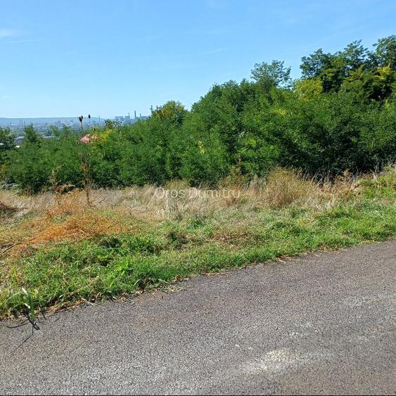 Teren vânzare Vâlcea  - 4