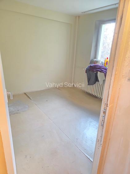 Lacul Tei  Teiul Doamnei  Colentina - 14