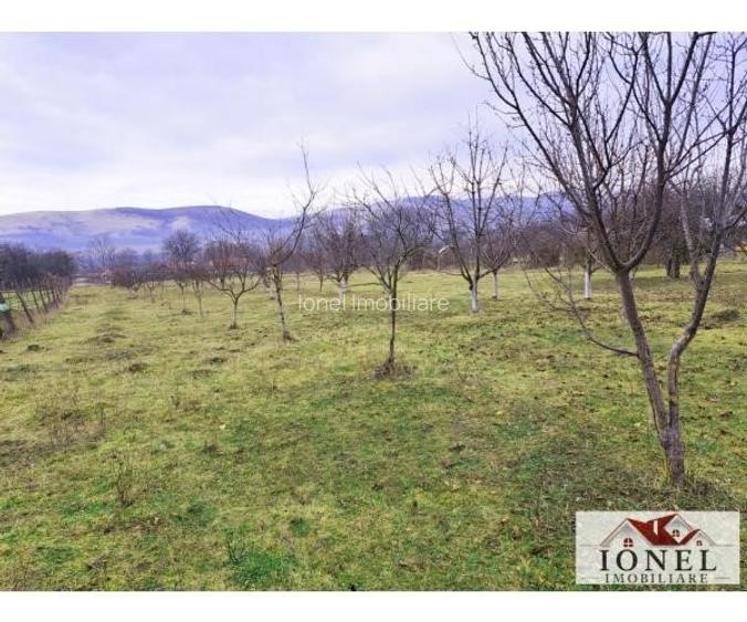 Casa noua de vanzare in Galda de jos - Benic - 7