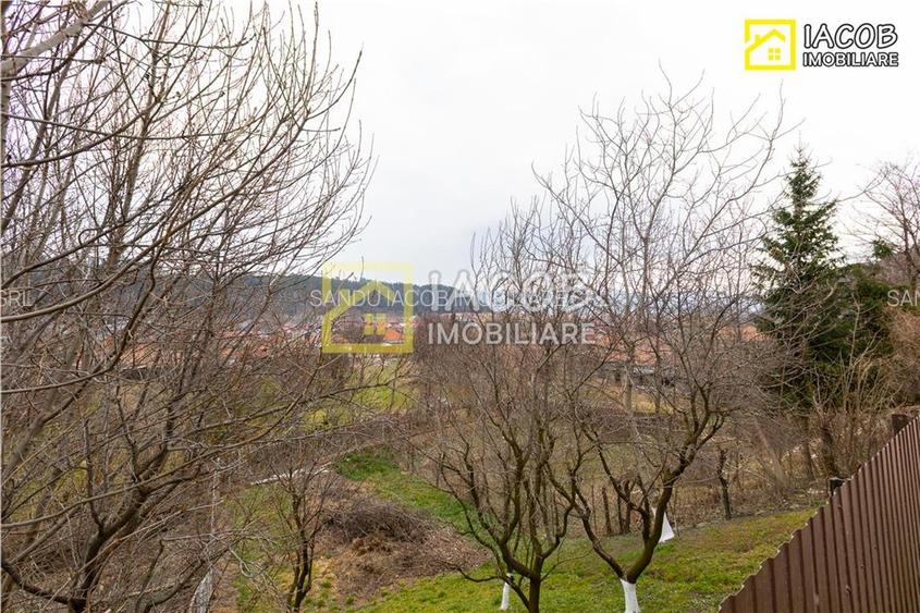 Casa, anexe, 3762 mp teren, 25000 mp padure, Comanesti, jud. Bacau - 17