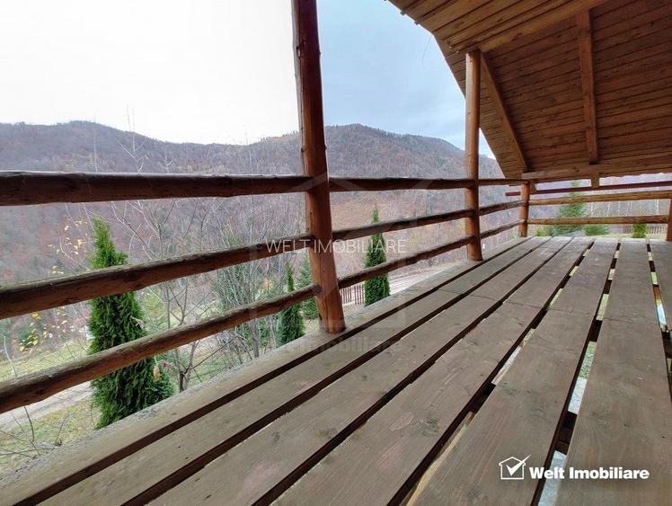 Oportunitate unica! 5ha + 2 cabane de vacanta in Valea Ierii - 18