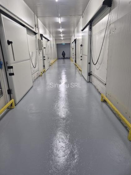 Depozit frig congelate Constanta Ovidiu - 11