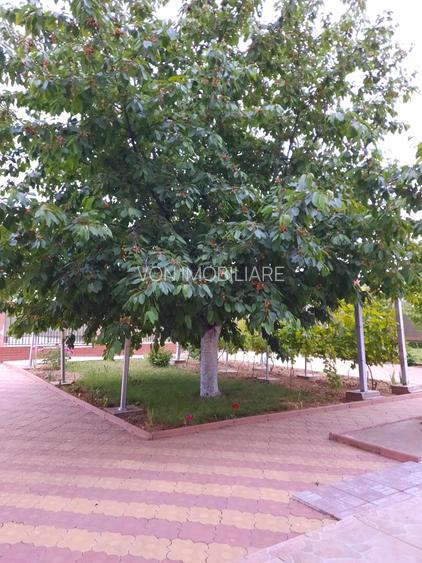 Vila P+E, 18 Km de Bucuresti-Adunatii Copaceni - 19