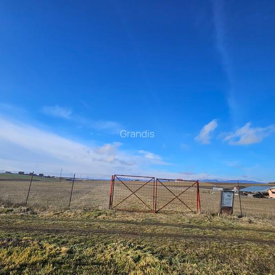 Teren intravilan - Halchiu, construire locuinte individuale - 8