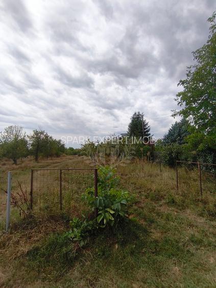 TEREN PAULESTI//17211 MP// INTRAVILAN - 8