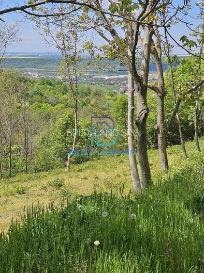 Prahova, orasul Boldesti-Scaeni, satul Seciu, teren 3007mp, d=36m - 6