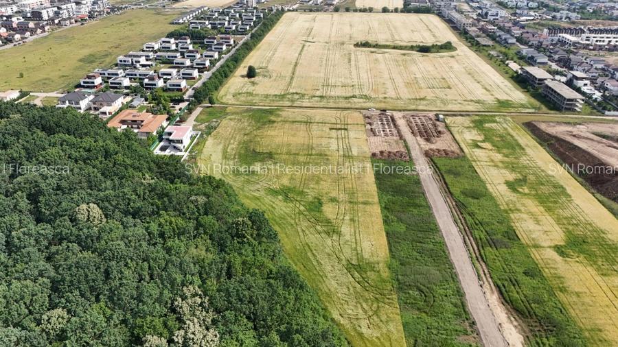 REL4000999 Teren l in proximitatea Amber Forest - 6