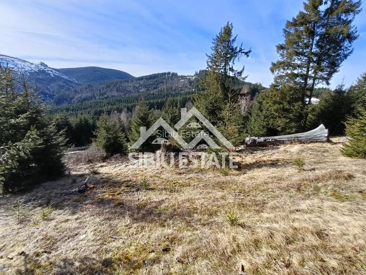 Teren de vânzare în zona montană a județului Alba - 2