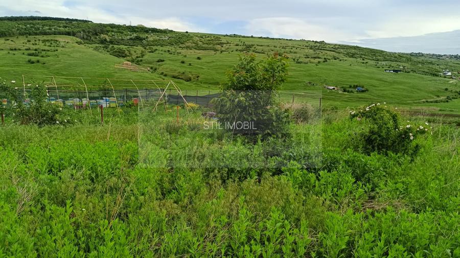 Teren Dorobant 1212mp - 4