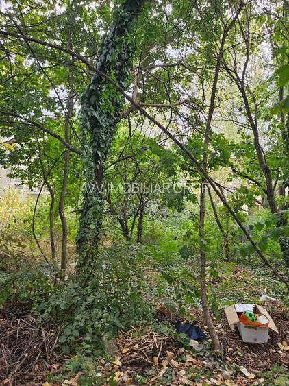 Titan Policlinica , Aleea Calistrat Hogas - 5