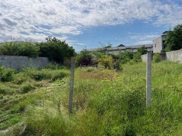 Teren Ghencea- Dantelei- Darvari. - 3