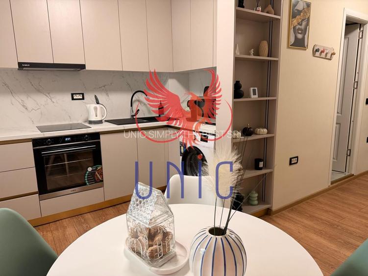 Garsoniera mobilata si utilata, Aristizza Romanescu - 2