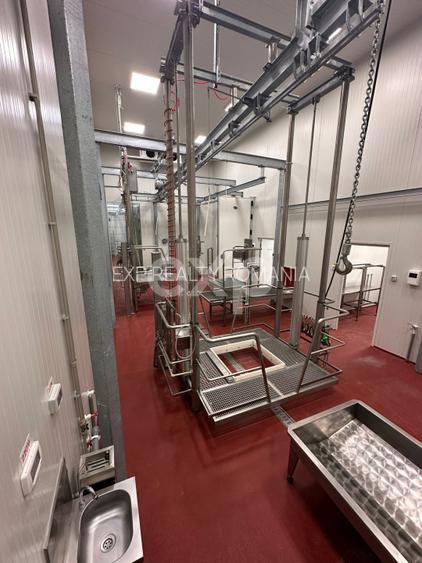 Ferma cu abator autorizat | Singureni Giurgiu - 13