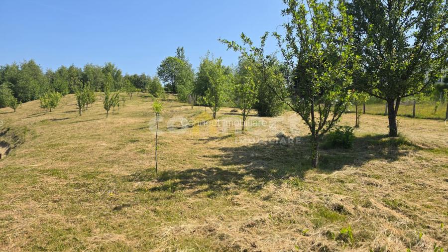 Vanzare Parcele Teren Intravilan - Cluj cu Autorizație și Utilități la Parcelă - 4