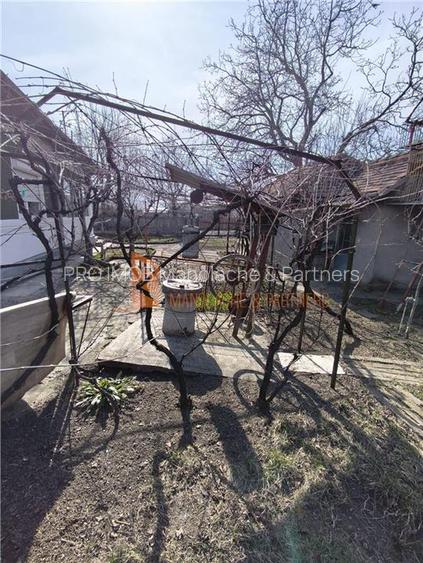 Casa tip parter zona Pietroasele - 13