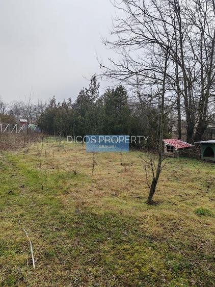 Teren 2.600 mp, utilități, Str. Merișor – Giurgiu - 5