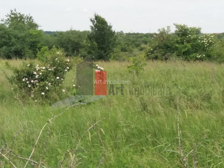 Teren Buftea cu iesire la lac - 21