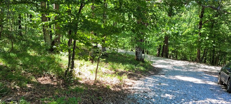 Teren livadă cu panoramă superbă Dealul Malului pentru casă sau cabană - 28