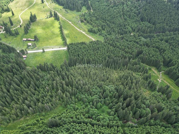 Teren extravilan 5000 MP Comandau - 7