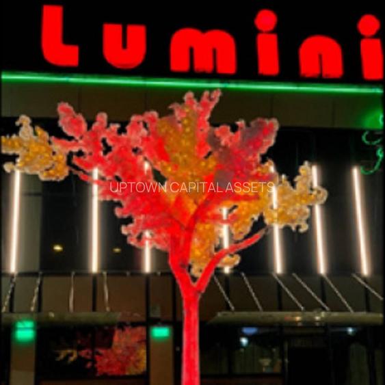 Restaurant Ballroom | Casa Luminita | 5 saloane | Pallady - 14