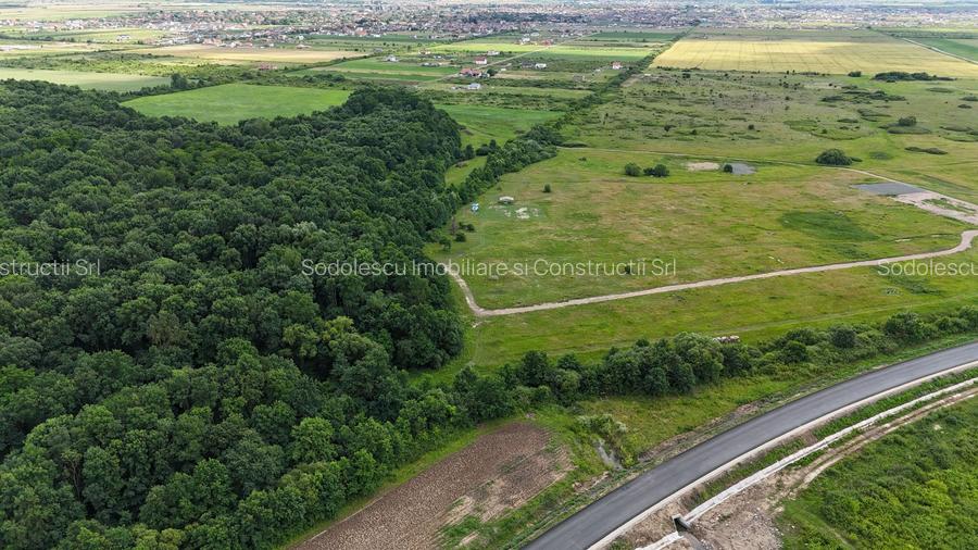 TERENURI PADUREA BISTRA - 3